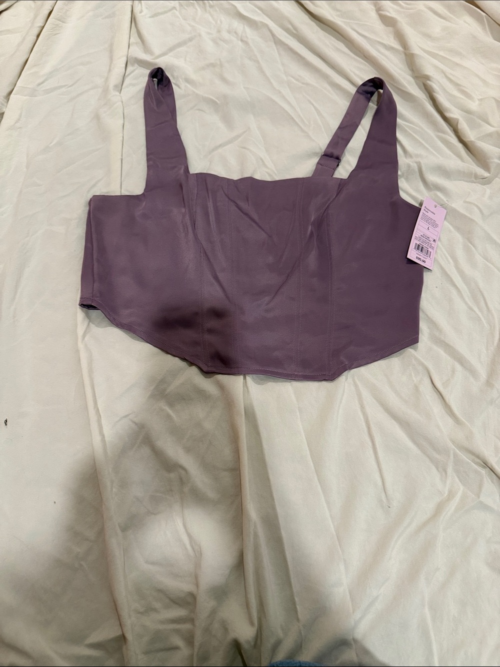 wild fable Mauve Purple Corset Crop Top
